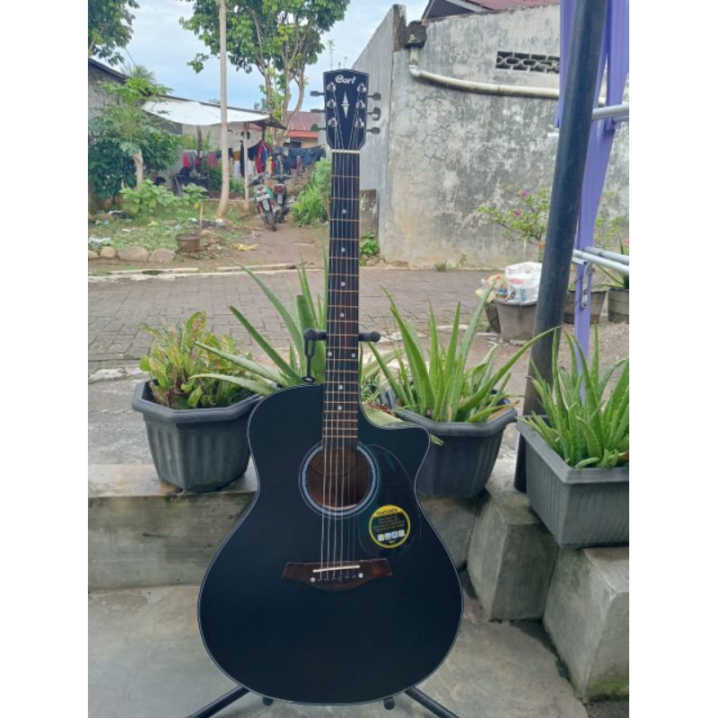gitar cort akustik custom