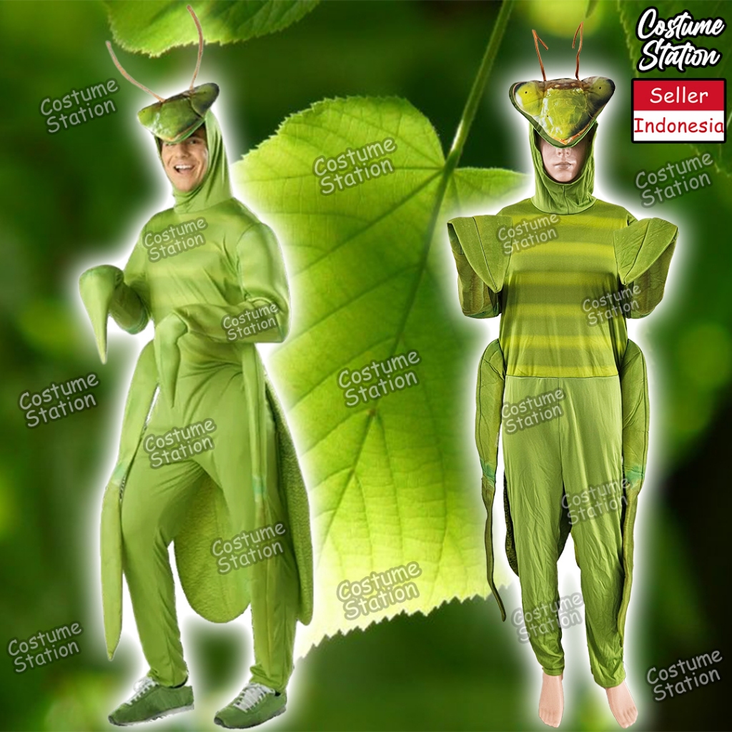 Kostum Onesie Praying Mantis / Costume Belalang Sembah Hewan Binatang Animal dewasa
