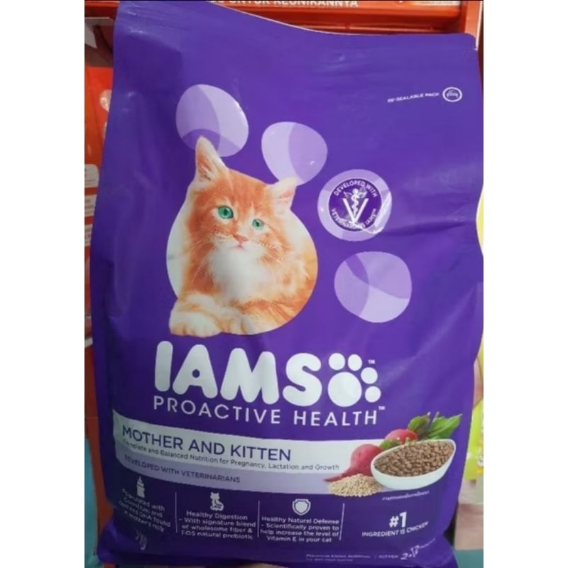 

PROMO IAMSO mother and Kitten