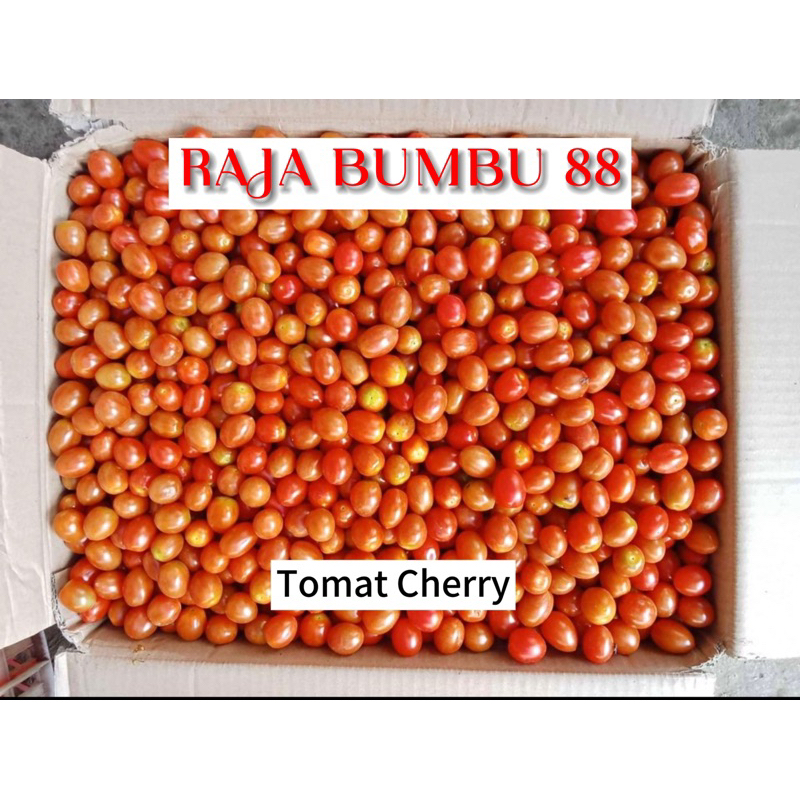 

TOMAT CHERRY 1kg