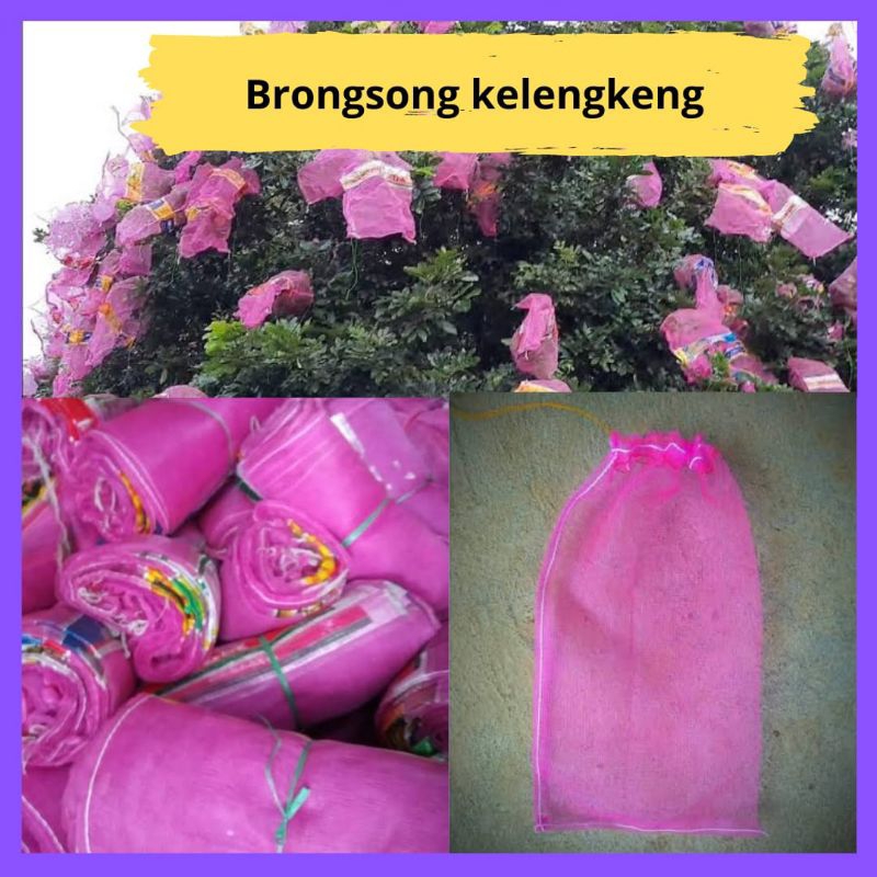 Jaring buah kelengkeng, Jaring buah lengkeng, Jaring pohon kelengkeng 10pcs