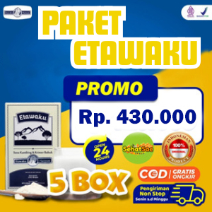 

Paket 5 Box Etawaku Platinum : Nutrisi Terbaik dari Susu Kambing untuk Pernapasan Sehat Isi 200 Gram