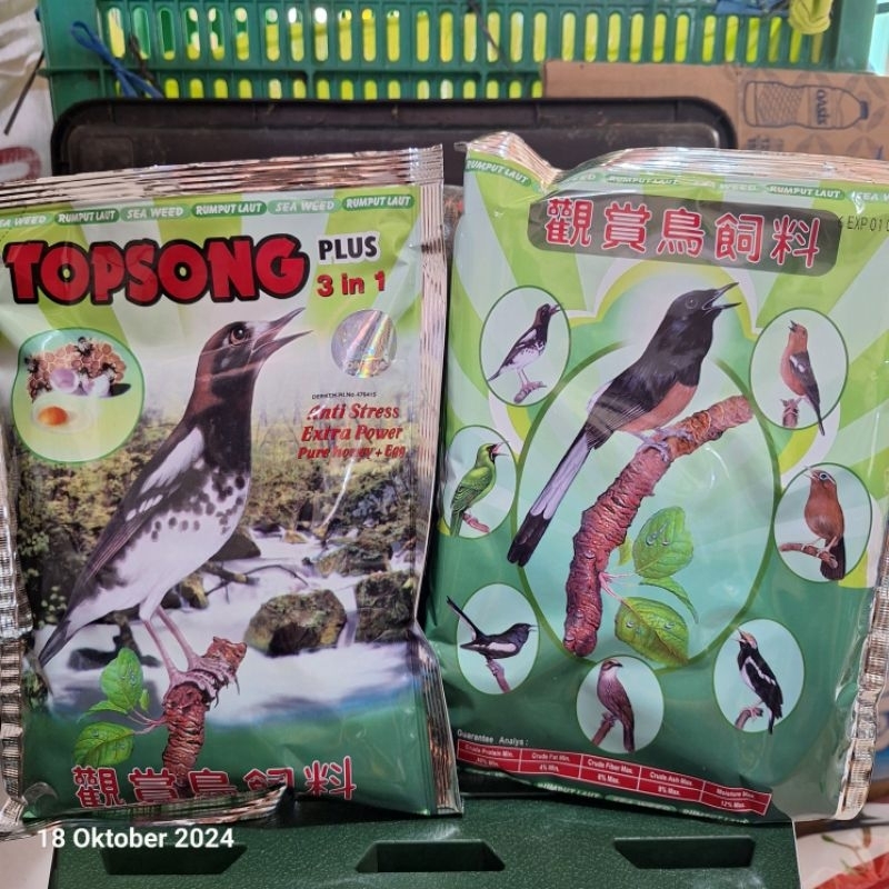 

topsong hijau rumput laut