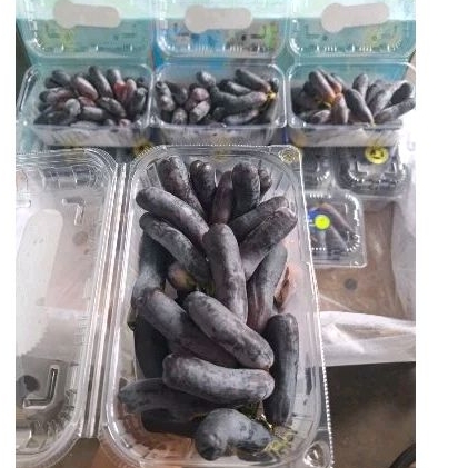 

anggur jari blue shapire