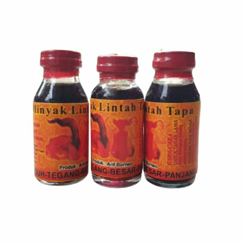 Minyak lintah tapa asli