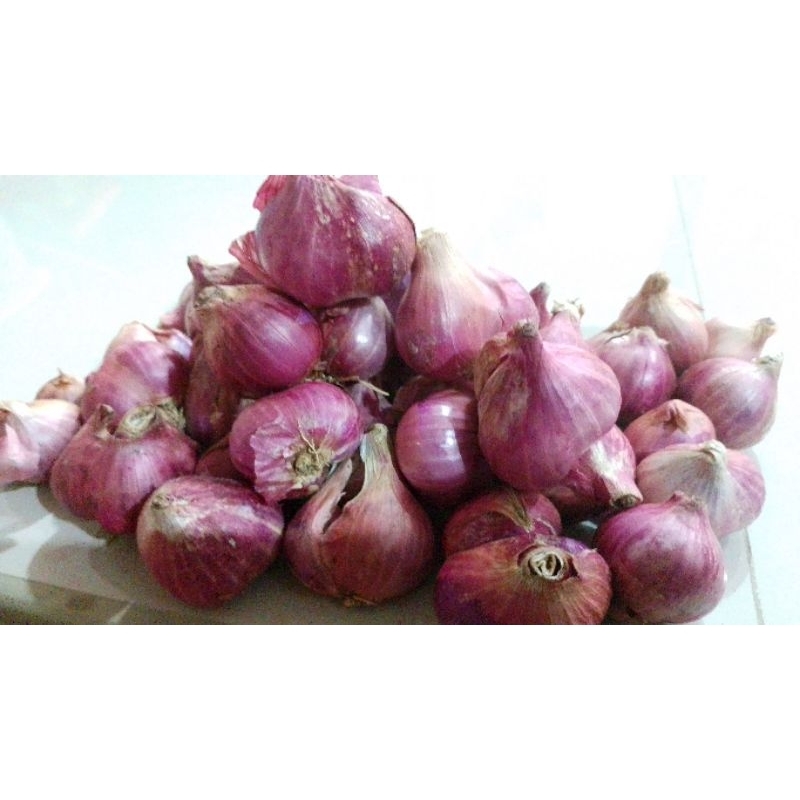 

Bawang merah kering ukuran jumbo dan besar edang 1kg