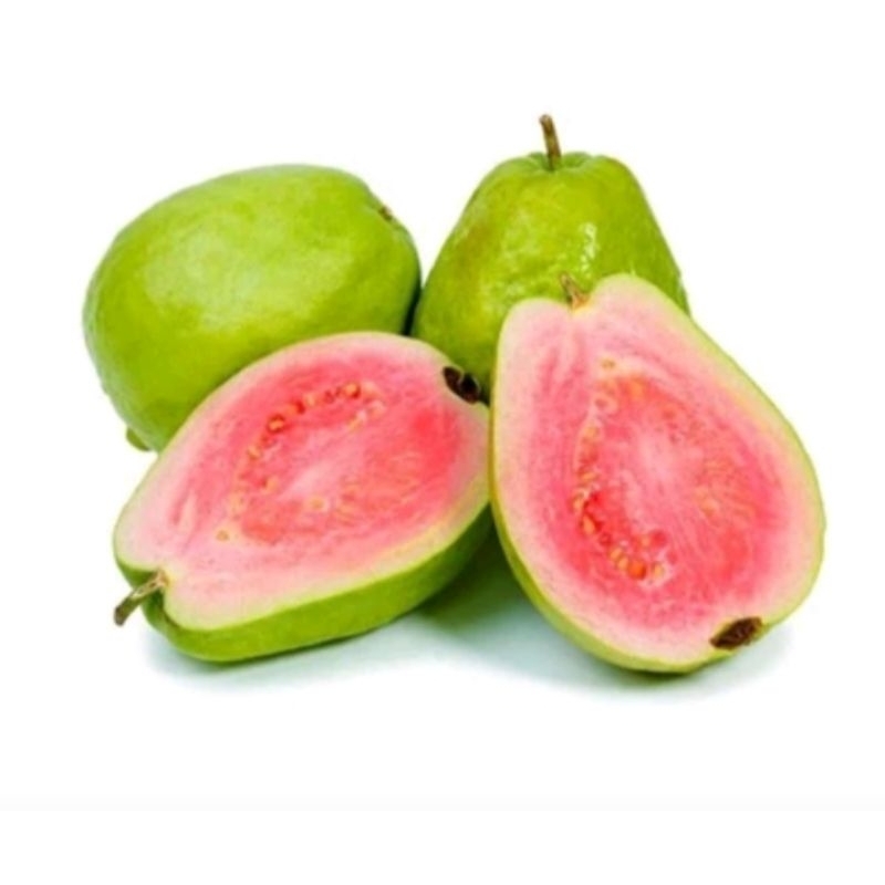 

jambu batu merah