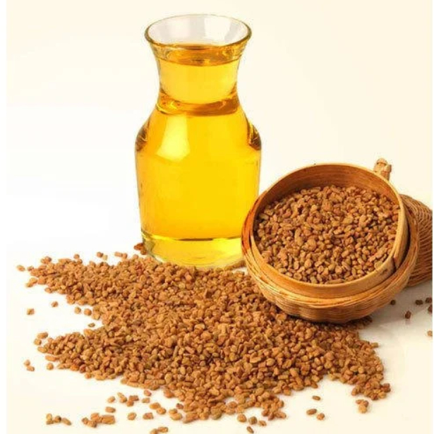 Fenugreek Oil Minyak Klabet Minyak Hulbah Methi Oil Methi seeds