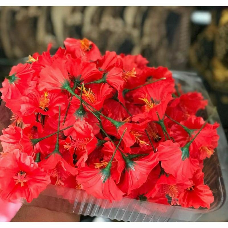 pucuk merah variasi udeng