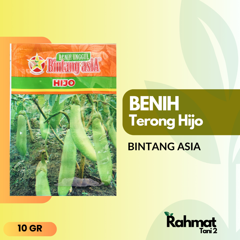 Benih Terong Hijau HIJO - BINTANG ASIA (10 gr)