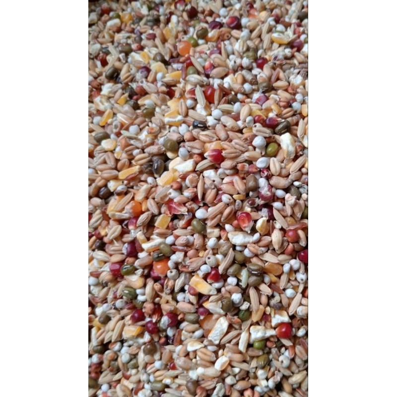 

1 kg Bijian Campur Pakan Ayam jago