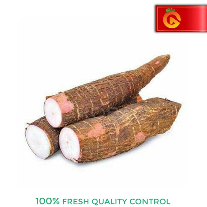 

Suplier1st SINGKONG FRESH PULEN 1 KG