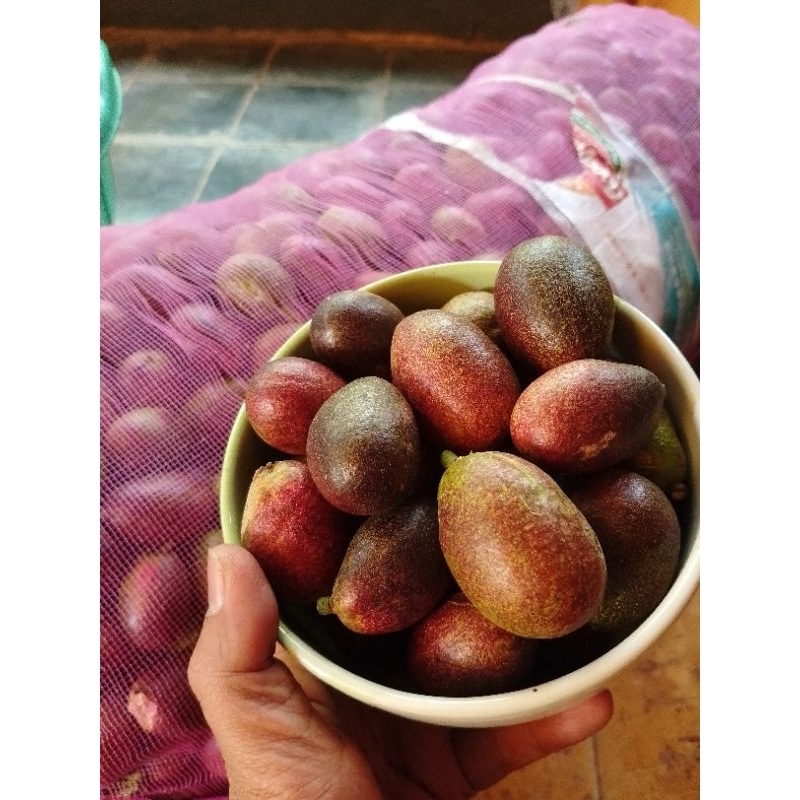 

1kg Buah Matoa 3 rasa Fresh baru petik ✅✅