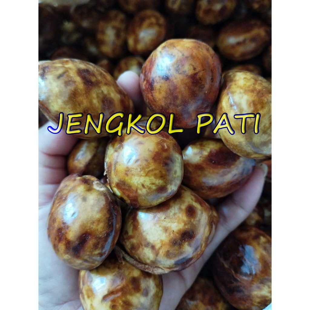 

Jengkol Pati Tua 1 kg Fresh Asli