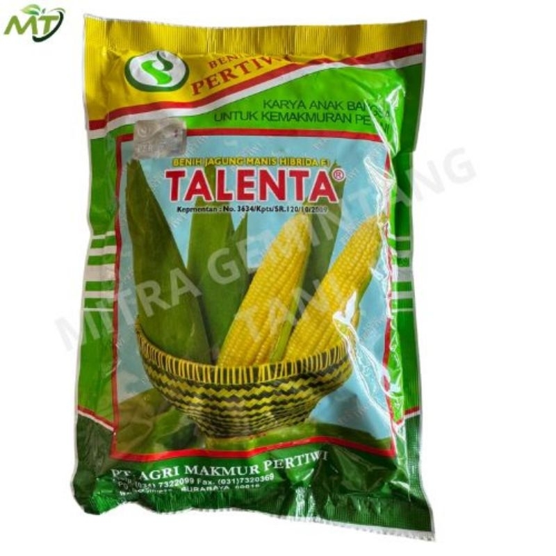 Benih Jagung Manis Talenta 250gr
