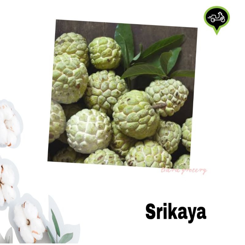 

Srikaya buah