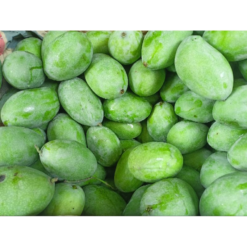 

mangga manalagi 1kg