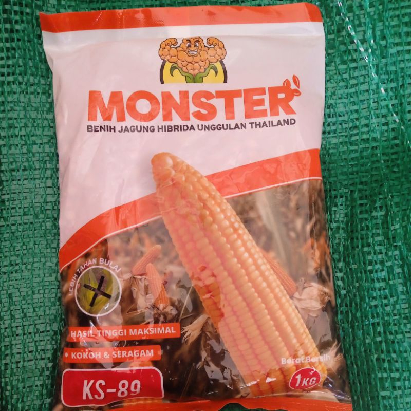bibit jagung MONSTER (1kg) KS Monster