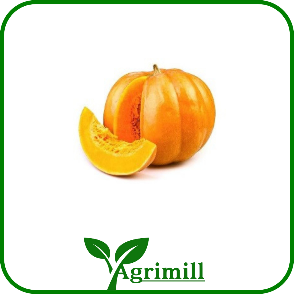 

Labu Oren | Laboca Orange