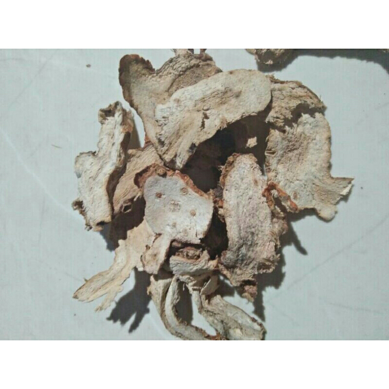 

lengkuas kering 100gr