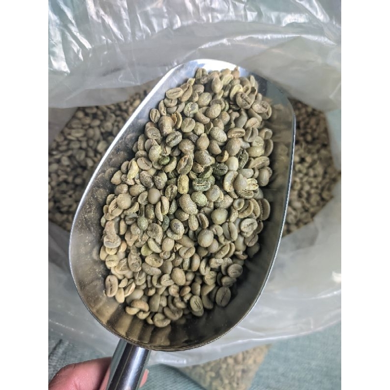 

Kopi Green Bean Arabica Kintamani Petik Merah 1Kg Sortir