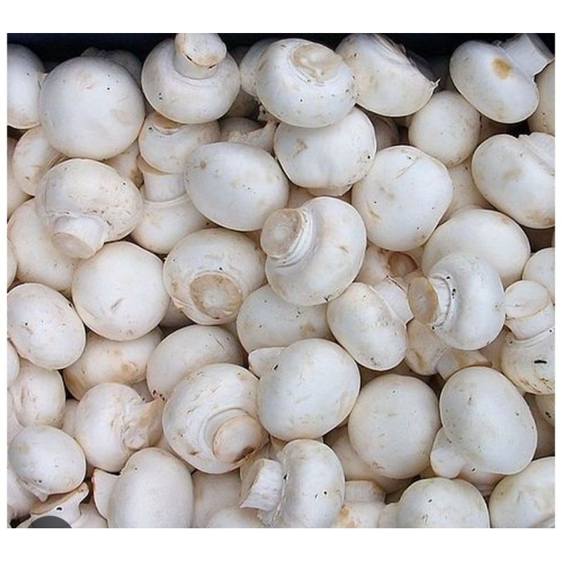 

Jamur kancing (champinon) 100gr brayamart