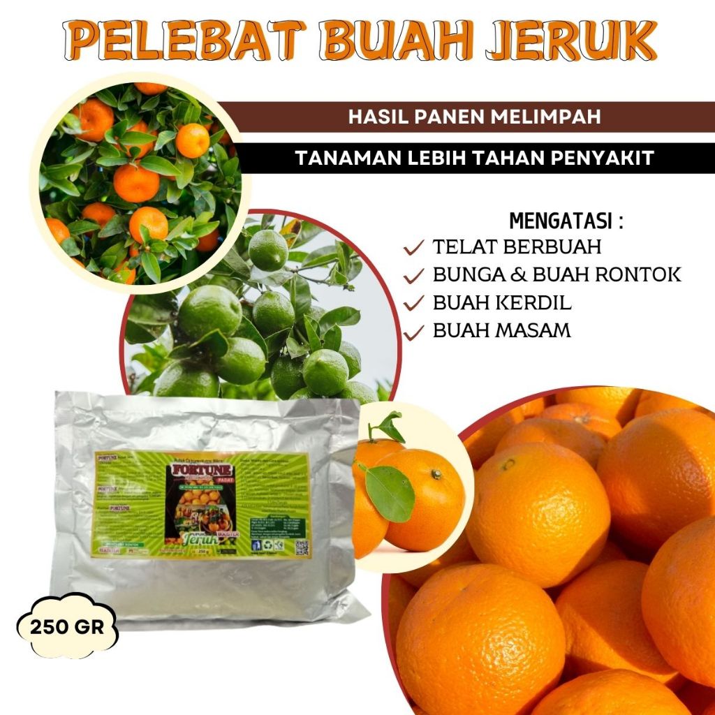 Booster Jeruk Nipis Cepat Berbuah, Pupuk Pelebat Tanaman Buah Jeruk Nipis