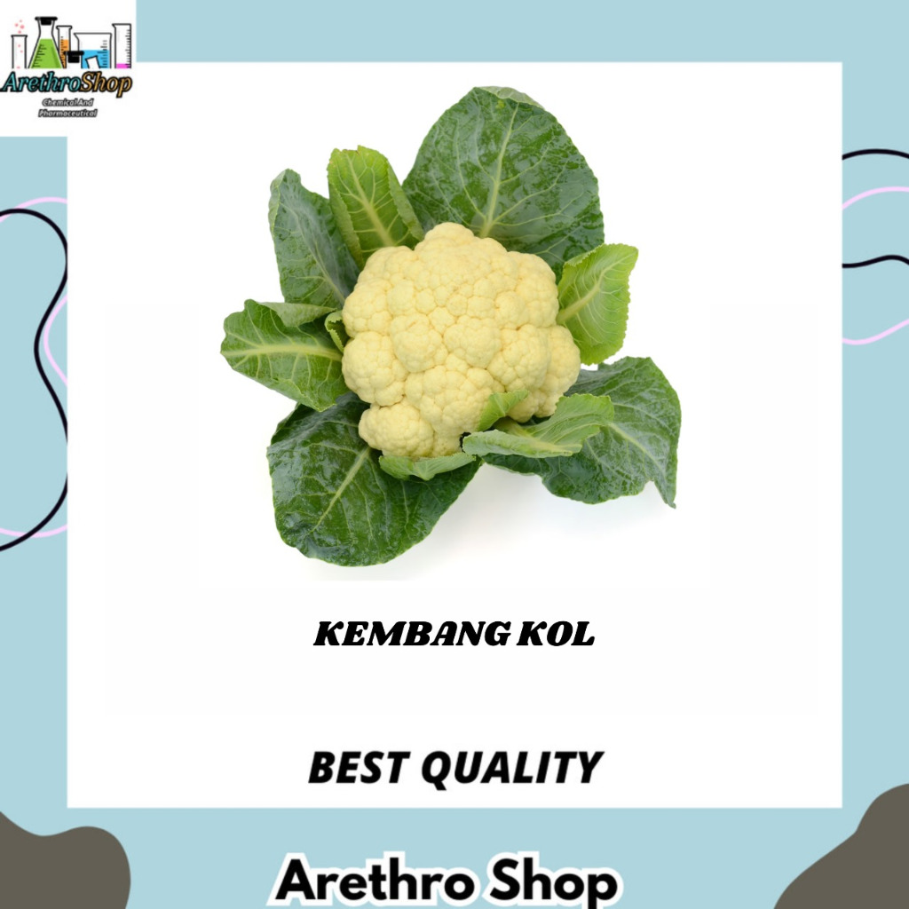 

KEMBANG KOL 500 GRAM DAN 1 KG BEST SELLER