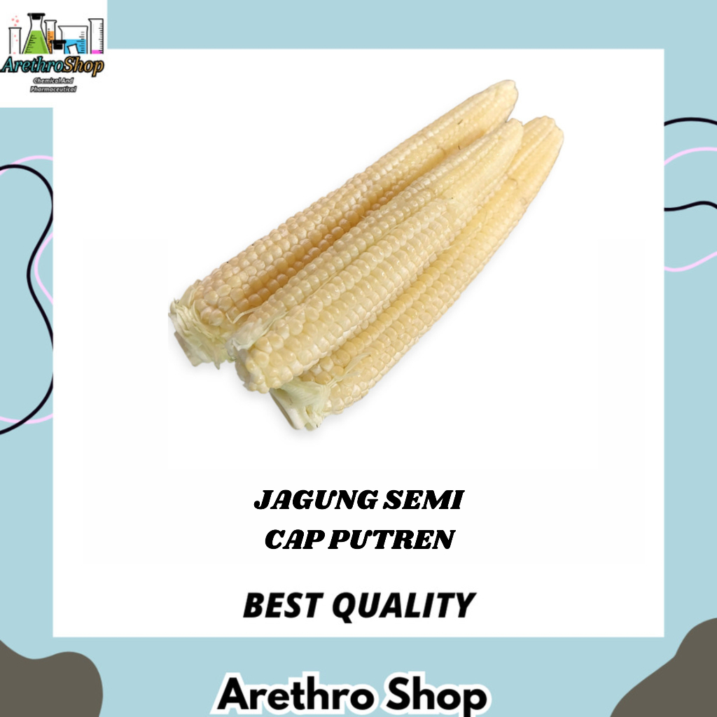 

JAGUNG SEMI CAP PUTREN 500 GRAM DAN 1 KG BEST SELLER