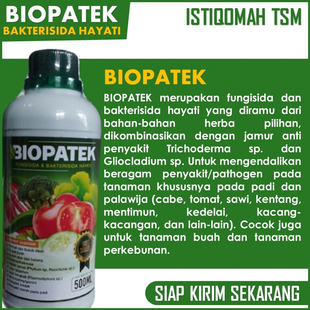 OBAT HAMA PATEK CABE ALAMI > OBAT PATEK CABE AMPUH > OBAT PATEK CABE ORGANIK - NOPATEK ASLI