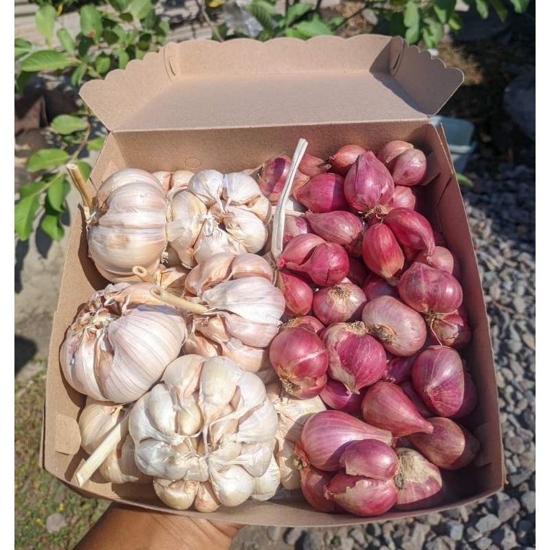 

PAKET BAWANG MERAH BAWANG PUTIH SINCO 1KG MURAH