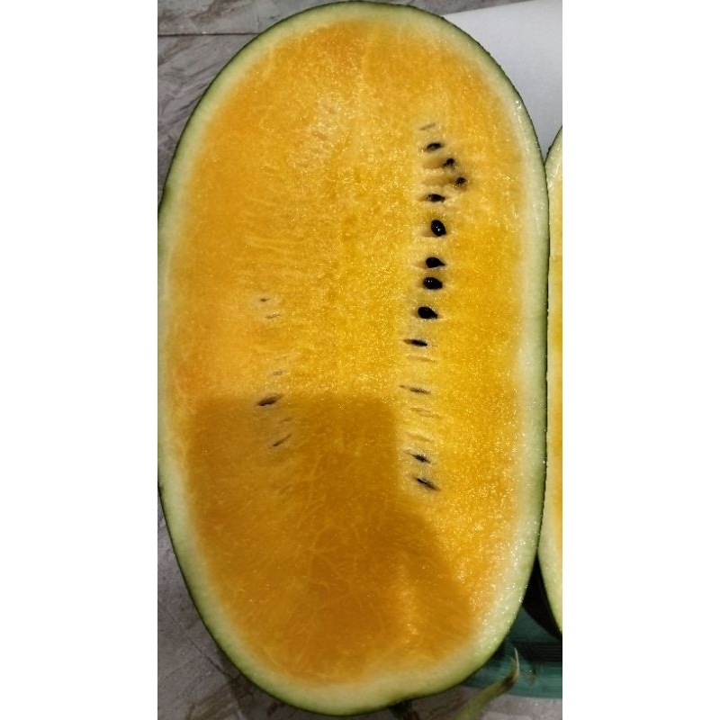 

Semangka Kuning Berat 6kg