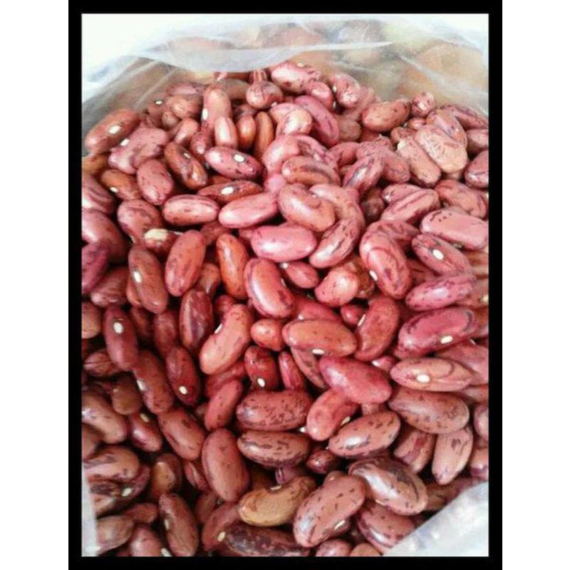 

Kacang Merah
