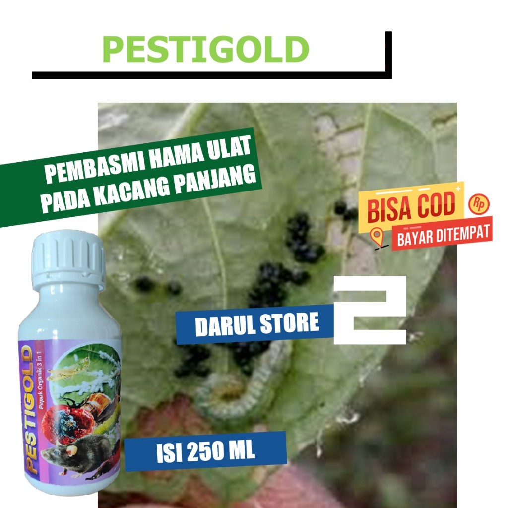 Pestisida Hama Kacang Panjang PestiGold Mengatasi Ulat Kacang Panjang Paling Laris 250 ml, Pupuk Sem