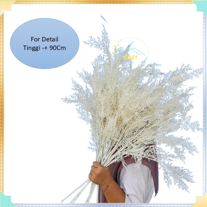 Daun Cemara Asparagus Tangkai Panjang/ Artificial Smoke Bush