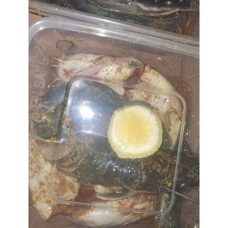 

lele bumbu siap goreng praktis no MSG no pengawet wajib gosend