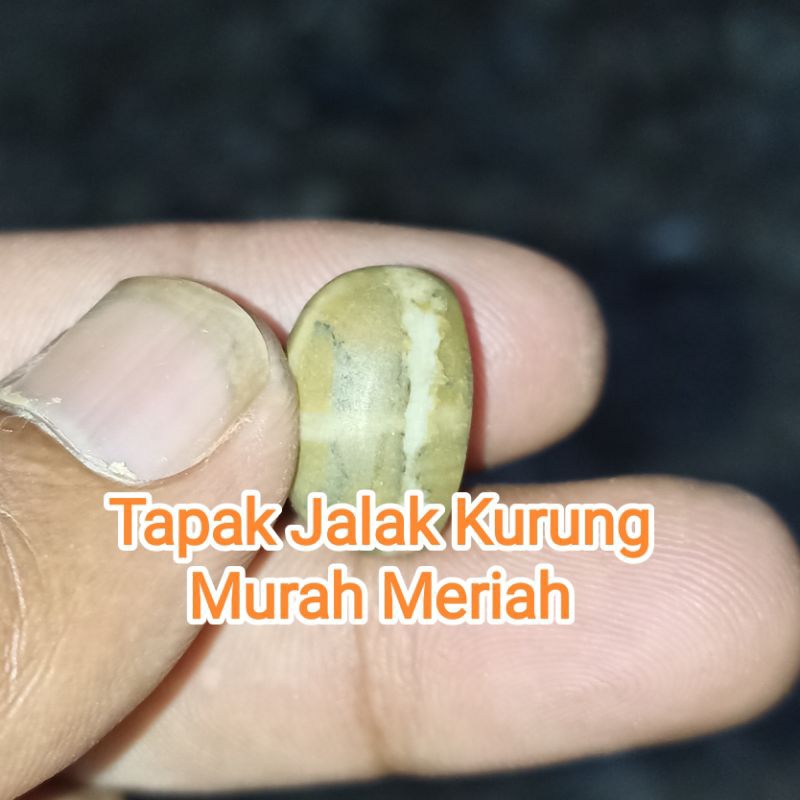 Batu tapak Jalak kurung original termurah