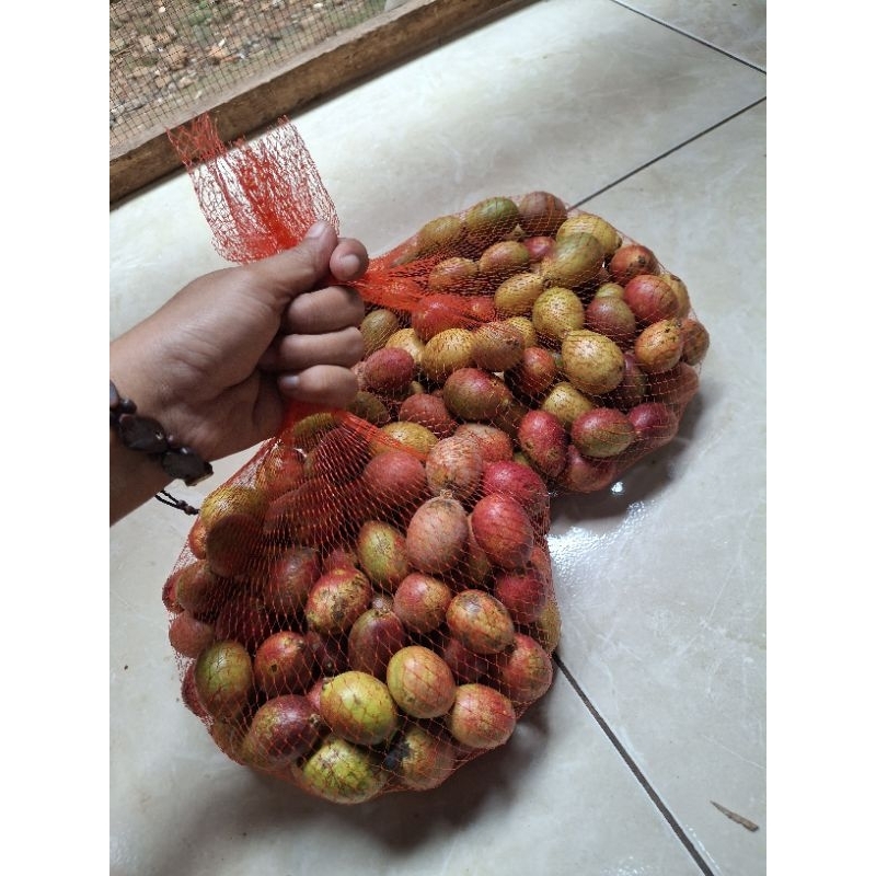 

BUAH MATOA SEGAR PAKET 2KG MANIS 3 RASA KELENGKENG DURIAN RAMBUTAN