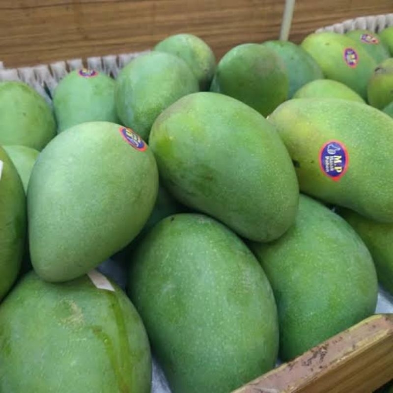

Mangga