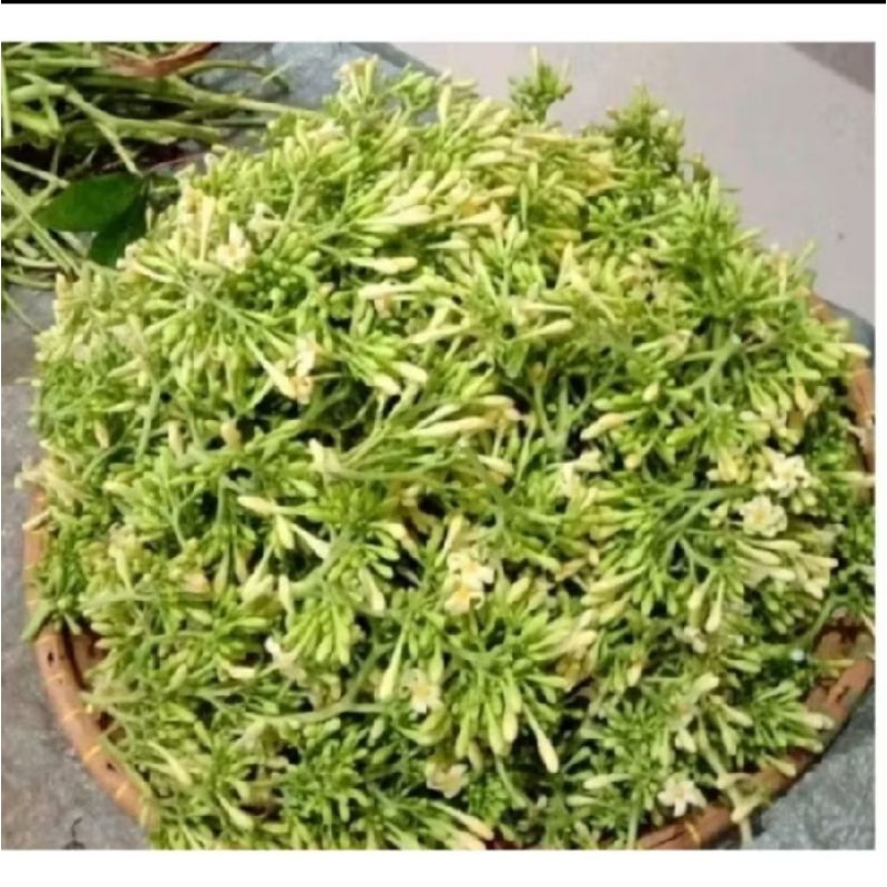 

bunga pepaya jantan fresh paket hemat (500) GRAM