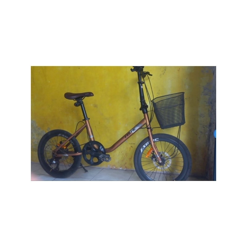 sepeda-minion-exotic