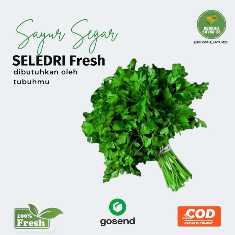 

BERKAH_SAYUR22 Seledri segar