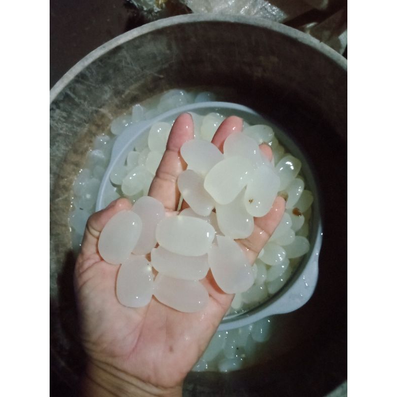 

kolang Kaling 1 kg