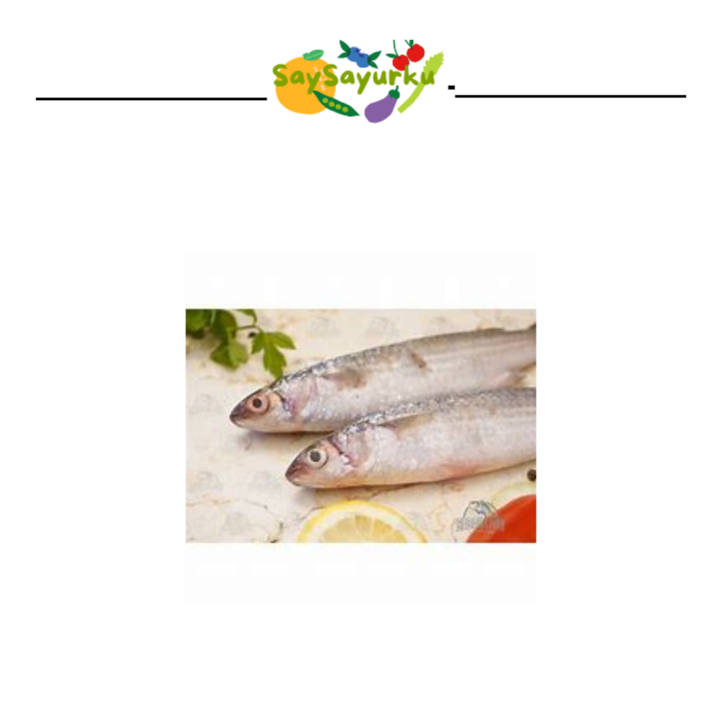 

IKAN BELANAK FRESH 500GR