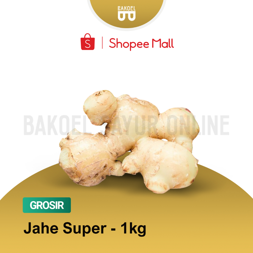 

Jahe Putih Super - Grosir 1 Kg