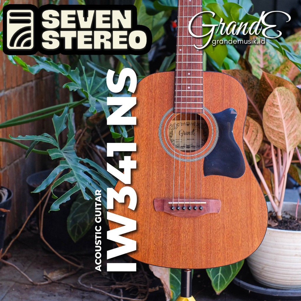 Grande IW341 NS IW 341 Acoustic Guitar