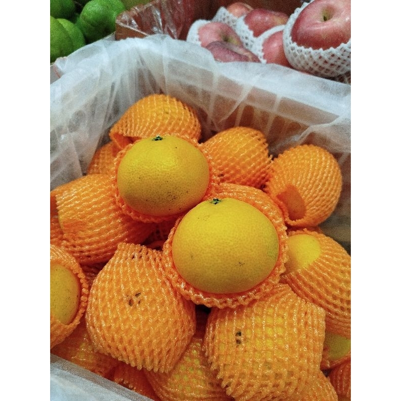 

Jeruk Aiyuan Premium