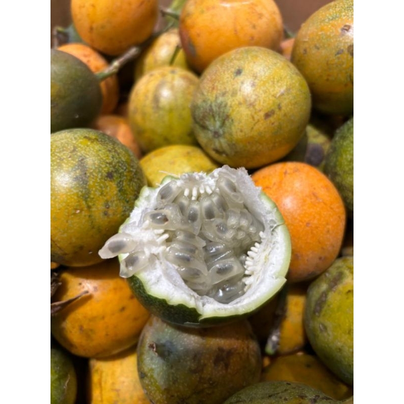 

Buah markisa 1kg|buah konyal|nuri fruits|buah segar bandung|buah bandung|markisa super|konyal super