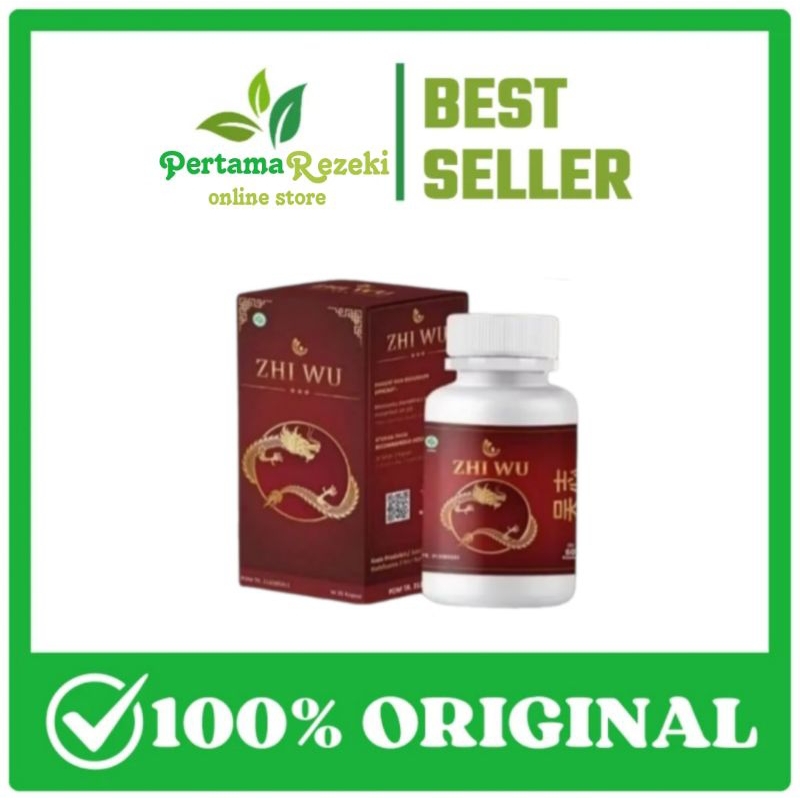 ZHI WU OBAT HERBAL ASAM URAT REMATIK ASLI 100% ORIGINAL BPOM OBAT CHINA ASAM URAT AMPUH