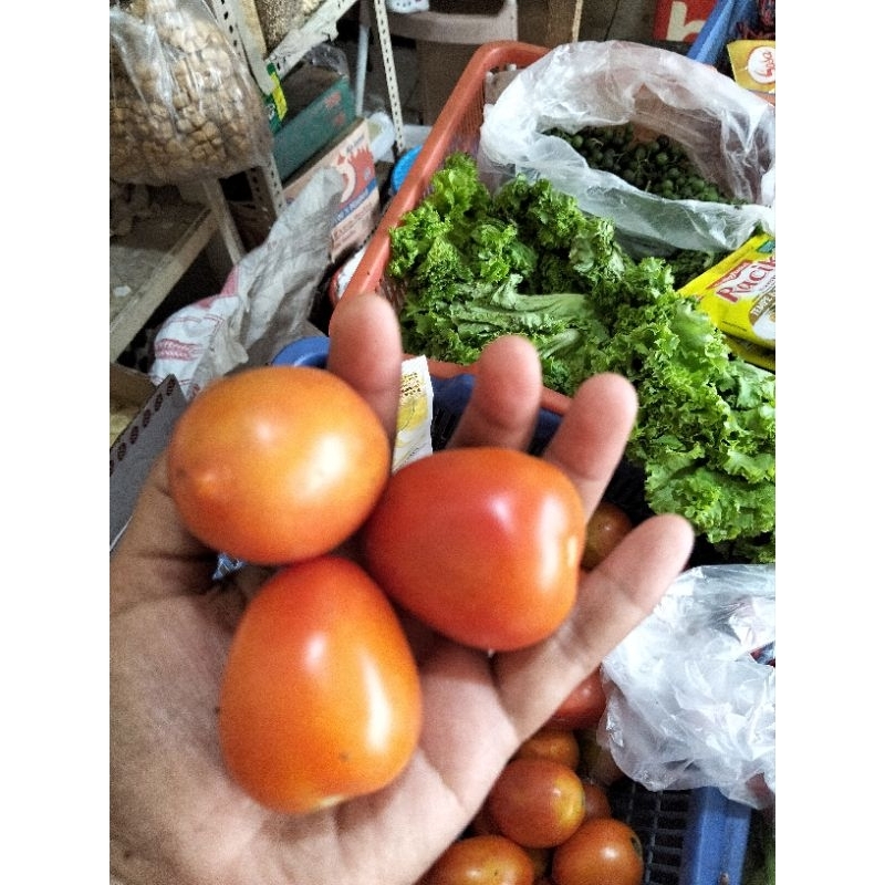 

TOMAT SEGAR 500 GRAM